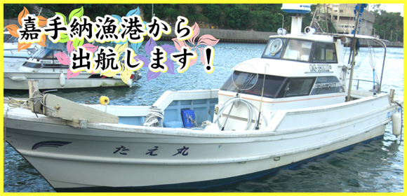 （公式）沖縄の釣り船たえ丸　半日船釣り体験ツアー