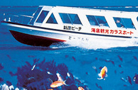 動く沖縄水族館（ガラスボート）