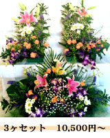 祭壇花
